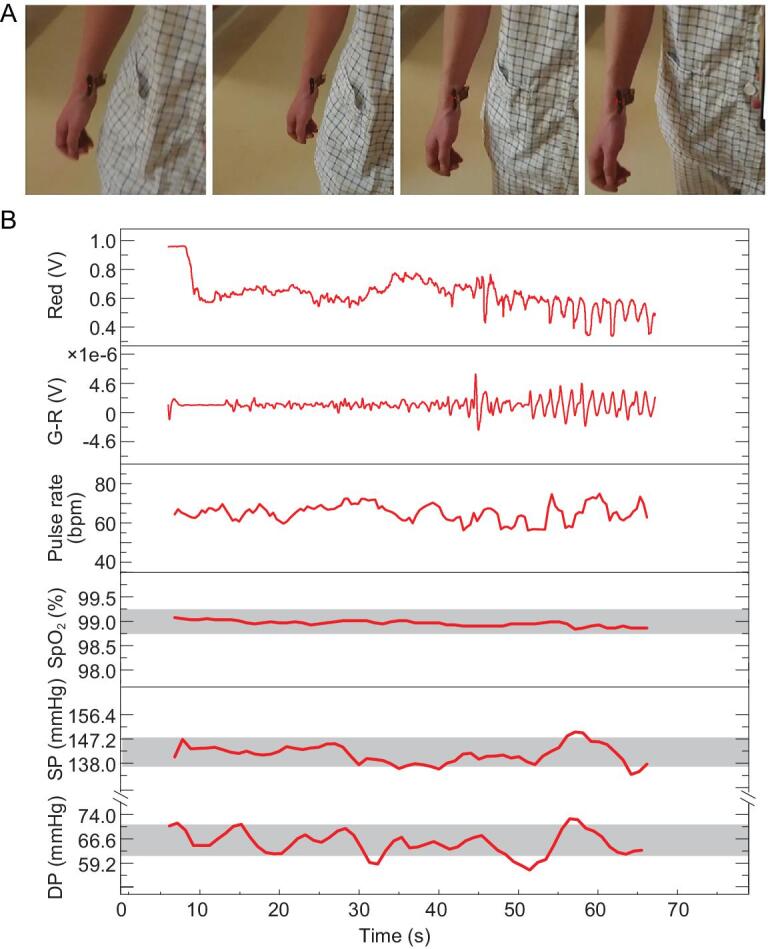 Figure 5.