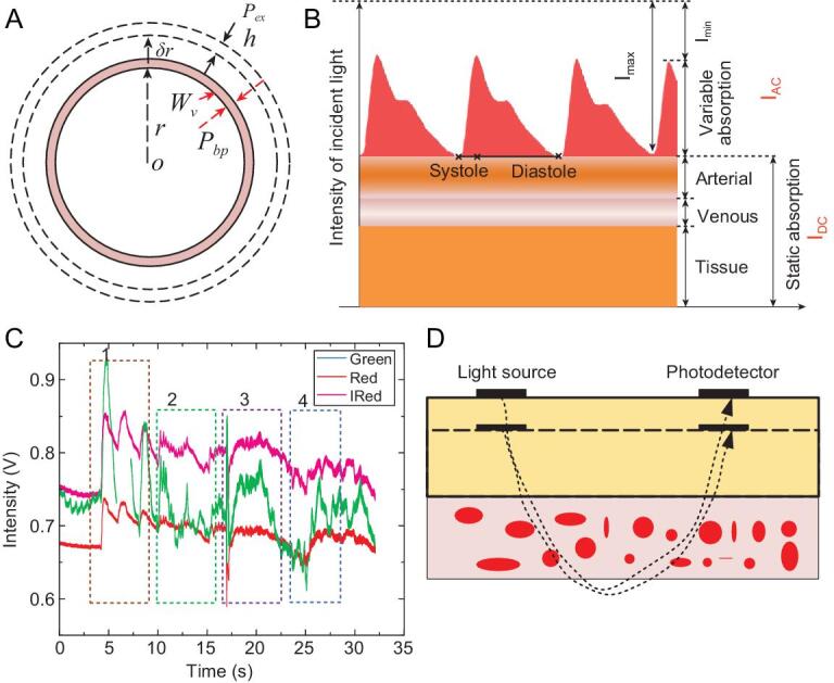 Figure 6.