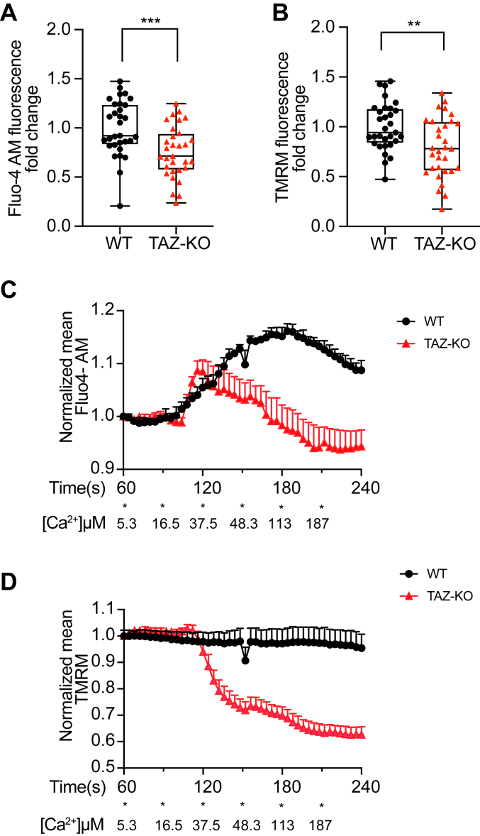 Figure 6