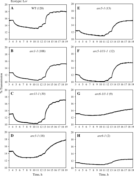 Fig. 4.