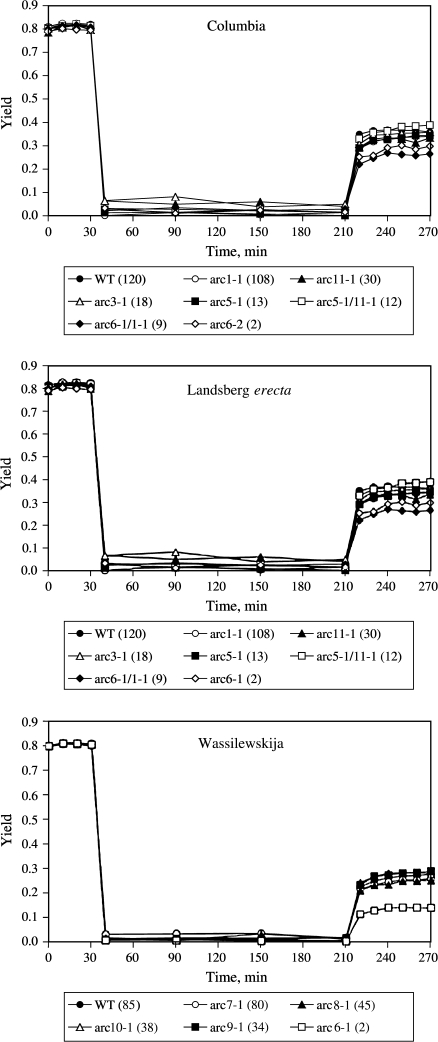 Fig. 6.