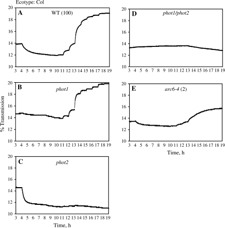 Fig. 3.