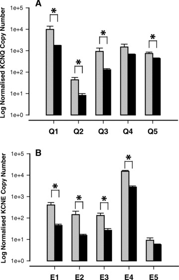 Fig 5