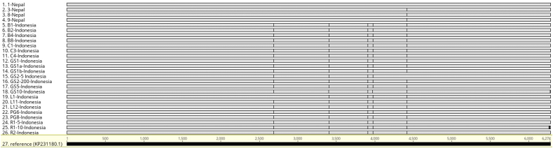 Figure 3