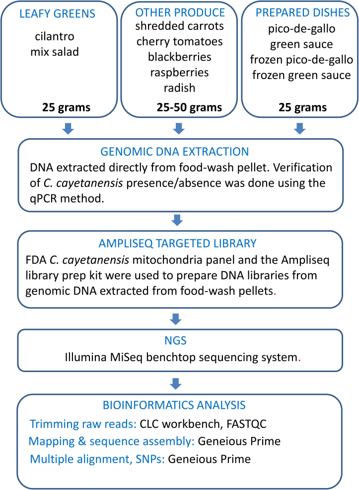 Figure 1