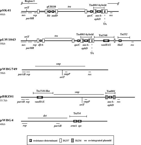 FIGURE 3