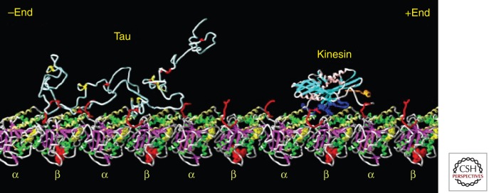 Figure 2.