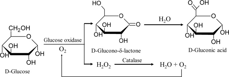 Fig. 3