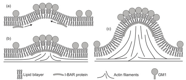 Figure 22