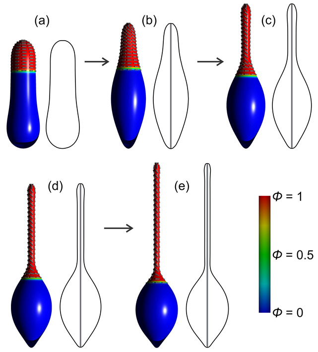 Figure 25