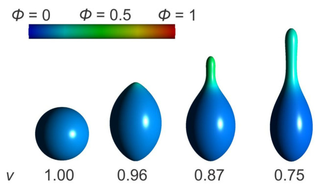 Figure 19