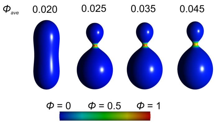 Figure 21