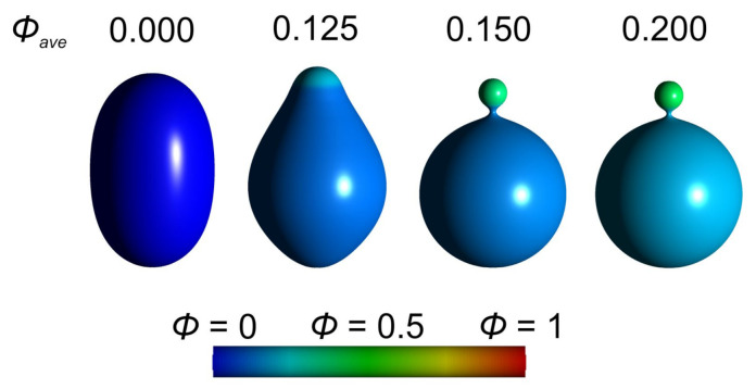 Figure 20