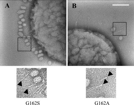 FIG. 8.