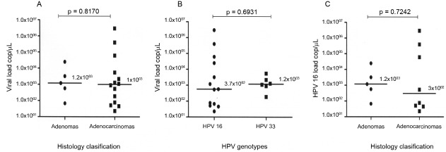 Comparison of the median (A) human papillomavirus (HPV) viral loads
according to histological classification and (B) HPV 16 and 33 viral loads in
colorectal tissues. (C) HPV 16 viral load according to histological
classification.