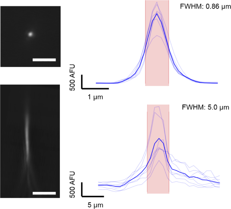 Fig. 6.