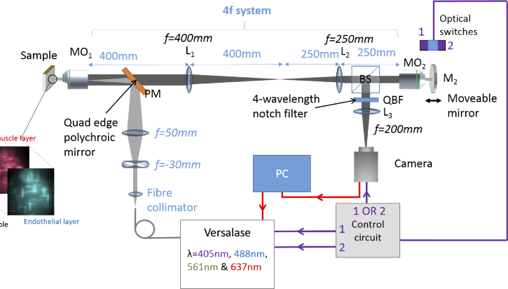 Fig. 1.