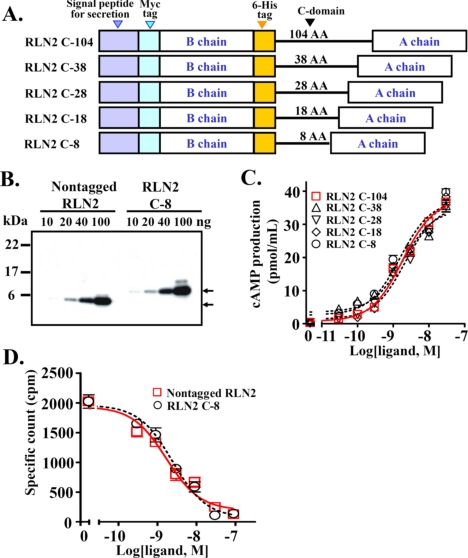 FIGURE 4.