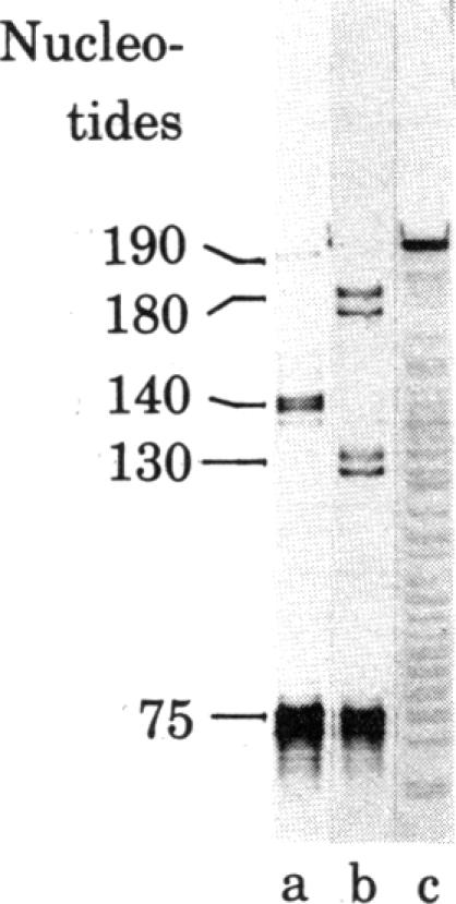 graphic file with name pnas00652-0192-a.jpg