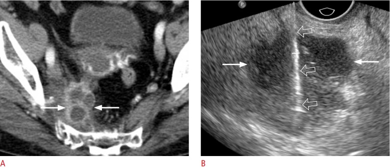 Fig. 9.