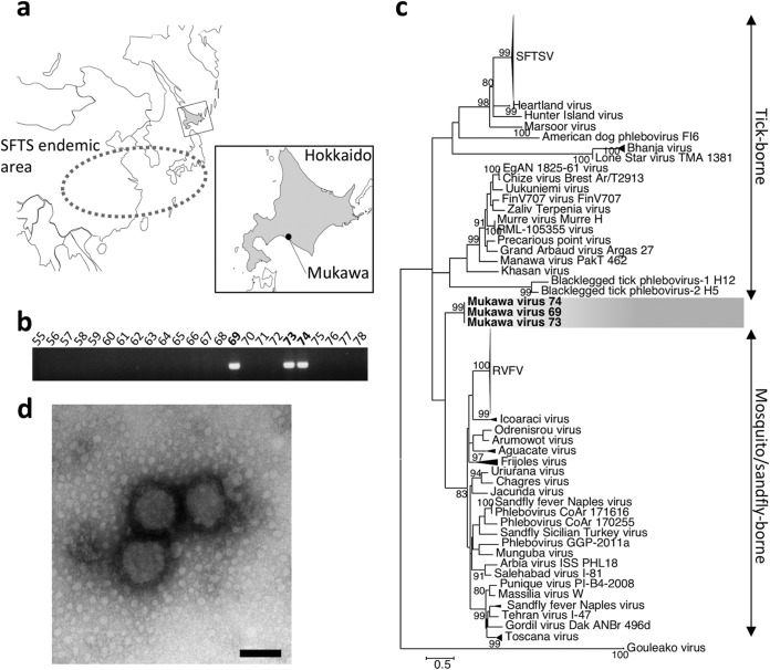 FIG 1 