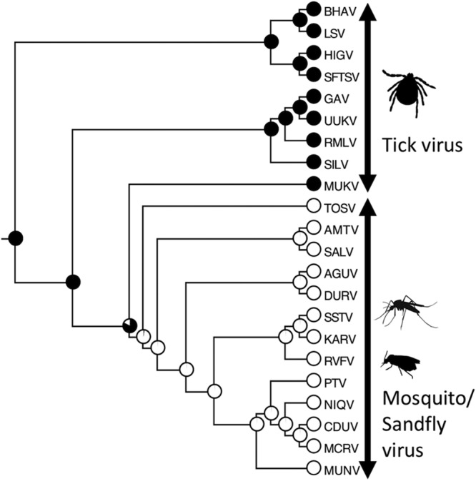 FIG 6 