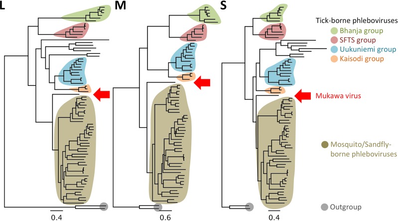 FIG 2 