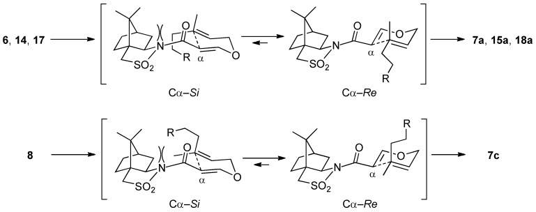 Scheme 7