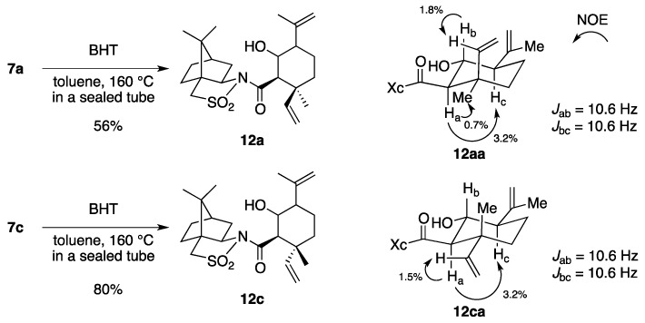 Scheme 4