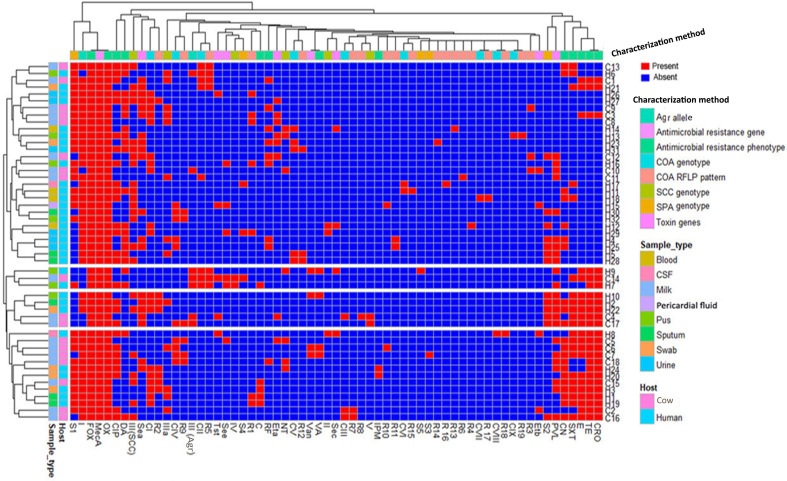 Figure 6