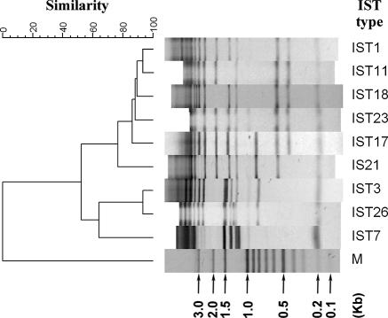 FIG. 1.