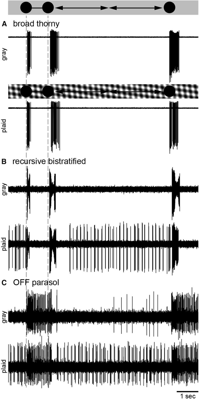 Figure 9.