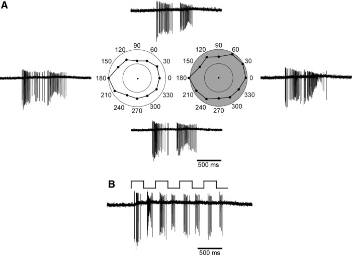 Figure 7.