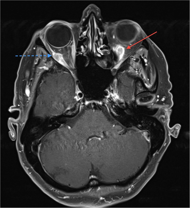 Figure 1