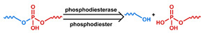 graphic file with name nanomaterials-11-00746-i040.jpg