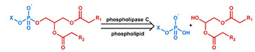 graphic file with name nanomaterials-11-00746-i037.jpg