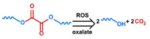 graphic file with name nanomaterials-11-00746-i033.jpg