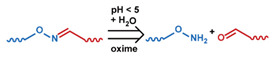 graphic file with name nanomaterials-11-00746-i002.jpg