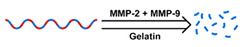 graphic file with name nanomaterials-11-00746-i042.jpg