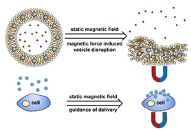 graphic file with name nanomaterials-11-00746-i065.jpg