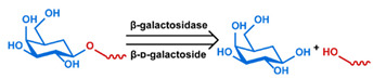 graphic file with name nanomaterials-11-00746-i046.jpg