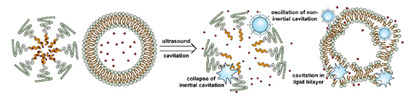 graphic file with name nanomaterials-11-00746-i079.jpg