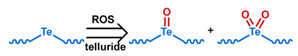 graphic file with name nanomaterials-11-00746-i024.jpg