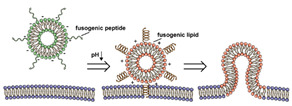 graphic file with name nanomaterials-11-00746-i015.jpg