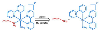 graphic file with name nanomaterials-11-00746-i069.jpg