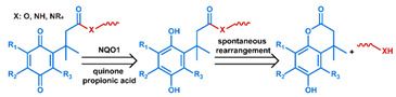 graphic file with name nanomaterials-11-00746-i047.jpg