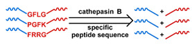 graphic file with name nanomaterials-11-00746-i043.jpg