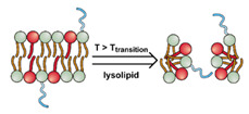 graphic file with name nanomaterials-11-00746-i058.jpg