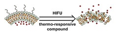 graphic file with name nanomaterials-11-00746-i082.jpg