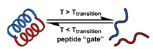 graphic file with name nanomaterials-11-00746-i056.jpg